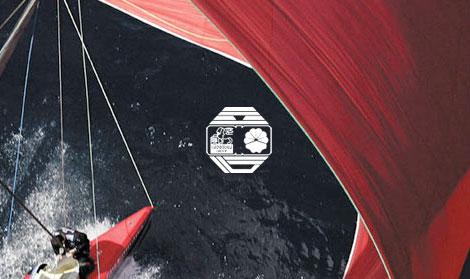 中意财险
官网开发